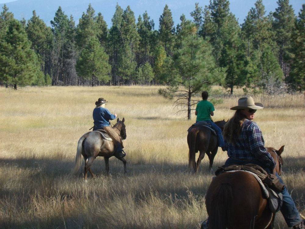 Dream Haven Guest Ranch Ξενοδοχείο Marion Εξωτερικό φωτογραφία